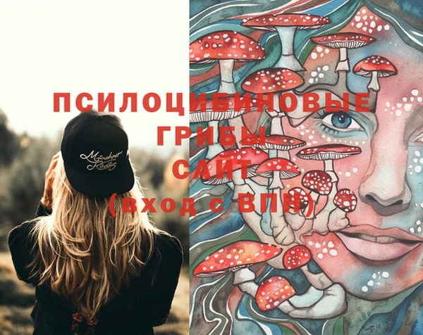 прущие крисы Навашино