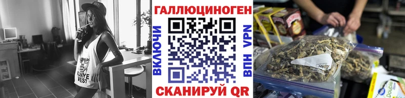 закладки  Родники  Псилоцибиновые грибы мицелий 